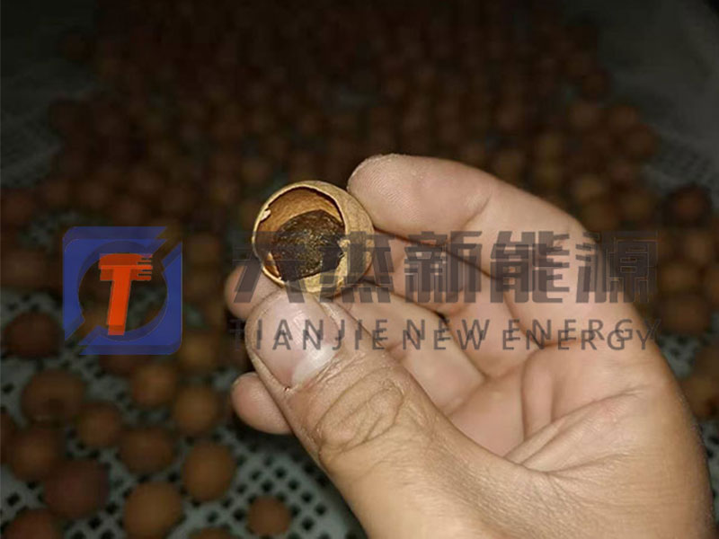 昂昂溪龍眼烘干機(jī)客戶實(shí)拍現(xiàn)場